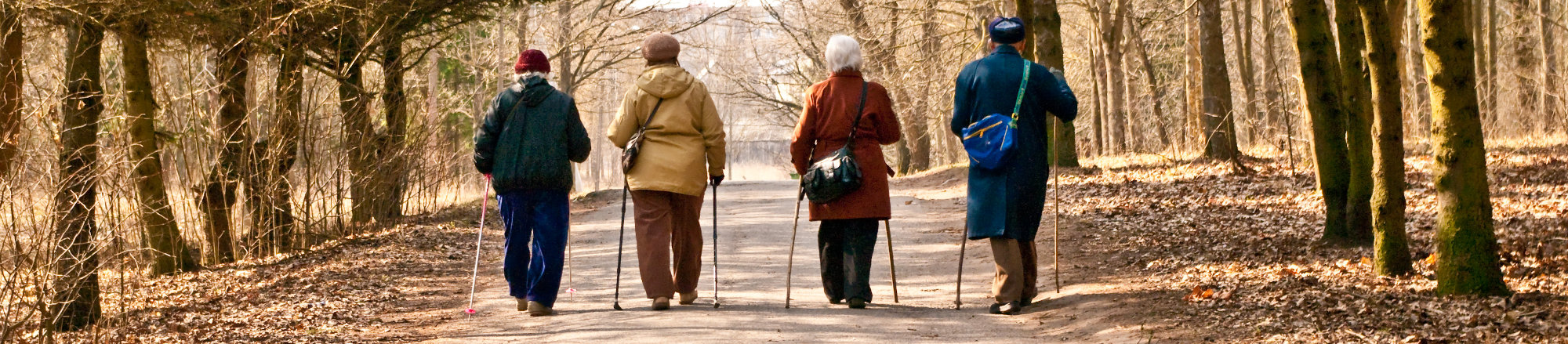 Zajęcia z nordic walking dla seniorów